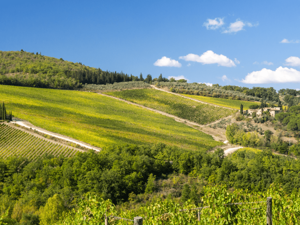 Chianti à vélo