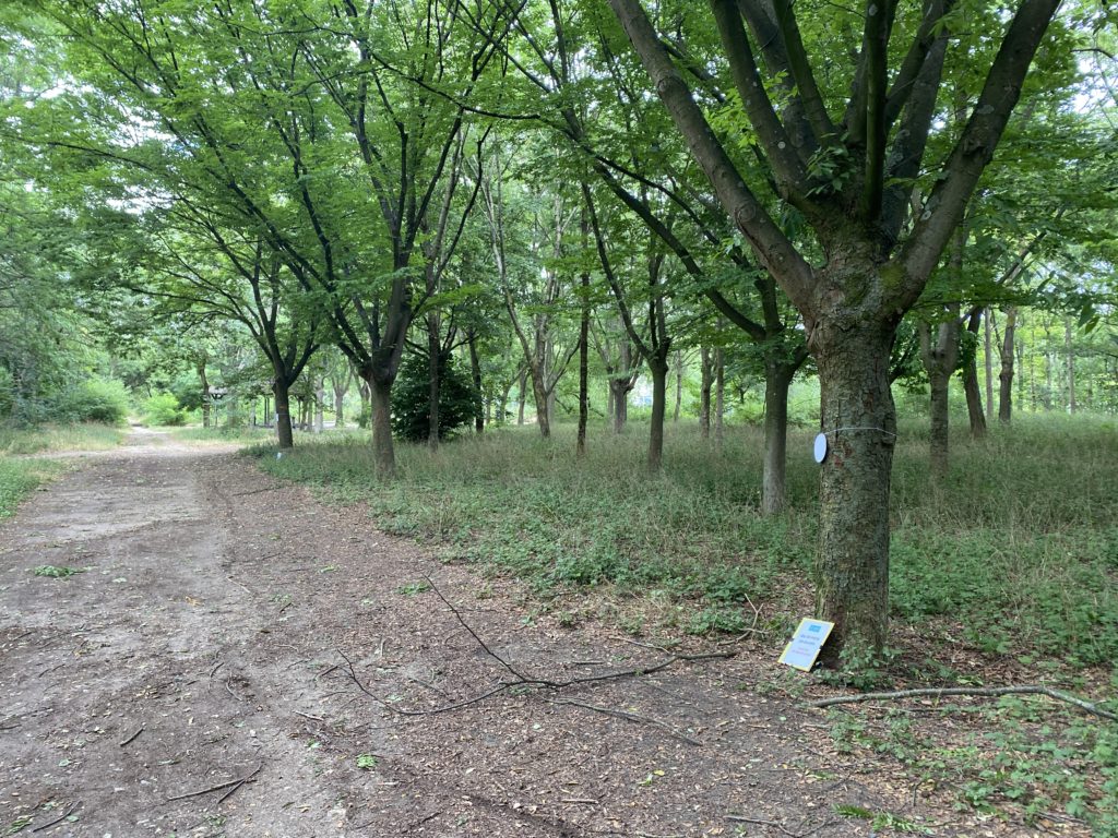 étapes jeu de piste écologique