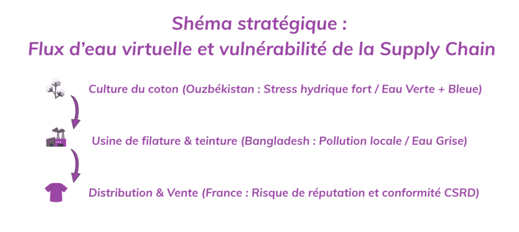 schéma stratégique flux d'eau virtuelle et vulnérabilité de la supply chain