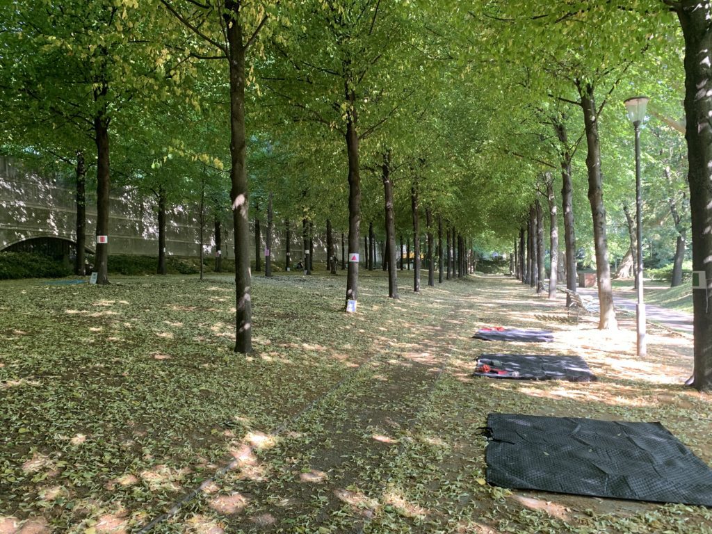 jeu de piste au parc de Bercy